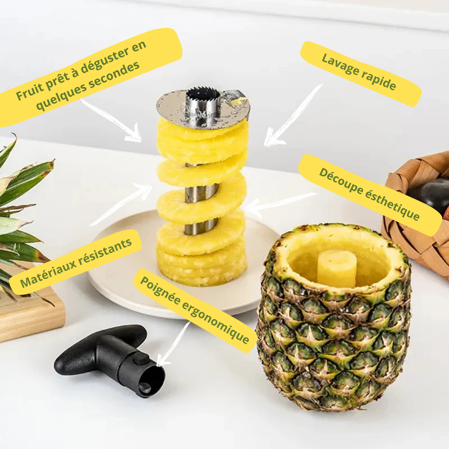 Éplucheur d'ananas en acier inoxydable